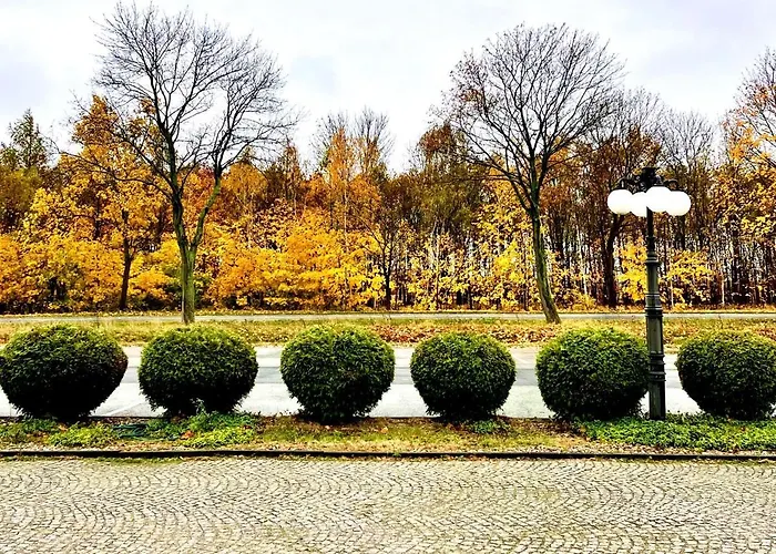 Delicjusz 3* Trzebaw